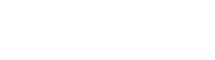 Lenovo Motosports Partnership Logo